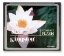 Picture of Kingston Compact Flash Card 8GB